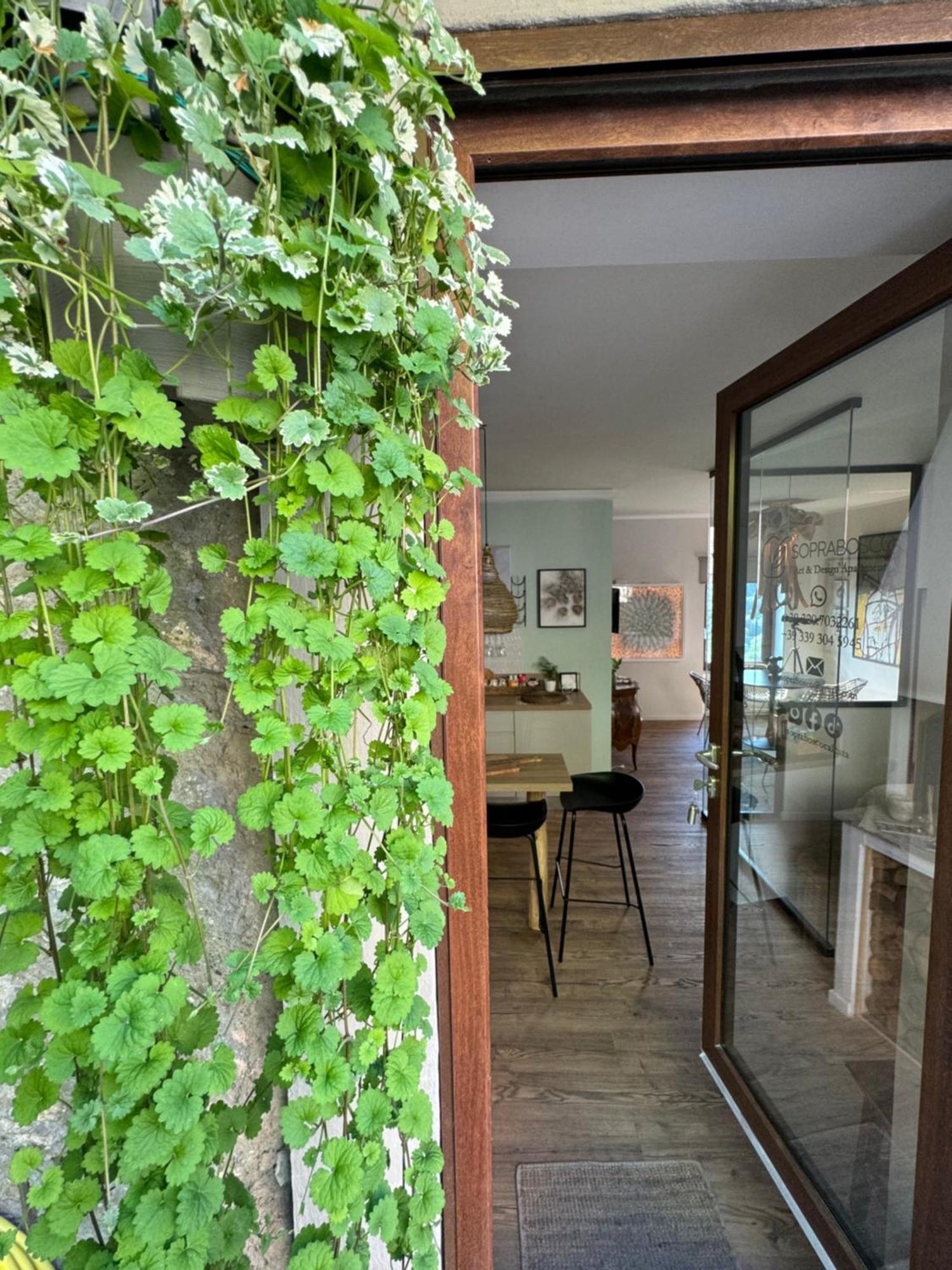 Soprabosco Calcata Art & Design Apartment Exterior foto